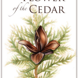 A gorgeous and delicate watercolor of a brown cedar flower in the center, surrounded by pointy green leaves and golden-lined branches.